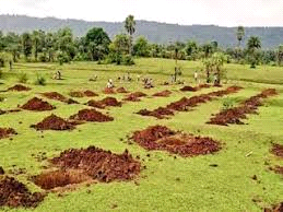 वन क्षेत्रों की खाली जमीनों पर देसी पेड़ लगाये जाएँगे : रेखा