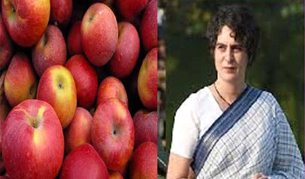 सेब पर आयात शुल्क घटाकर बागवानों के साथ अन्याय कर रहा केंद्र: प्रियंका