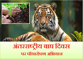 विश्व बाघ दिवस : देश के 58 बाघ अभयारण्यों में एक लाख पौधे रोपने का लक्ष्य