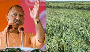 किसानों को मिलेगा उचित मुआवजा 